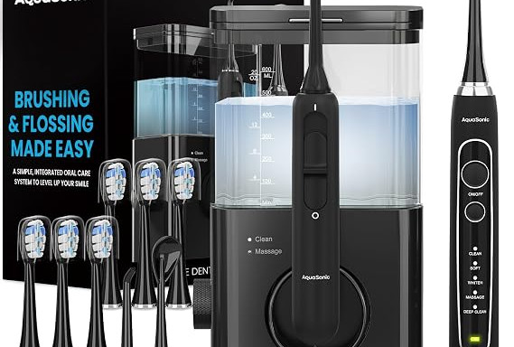 Electric Toothbrush and Water Flosser